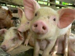 επιδημίες πανδημίες