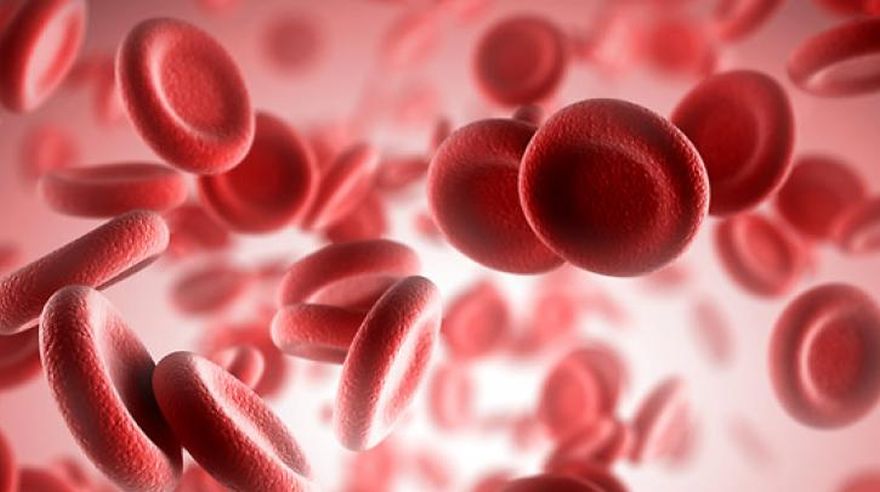 Οι επιπτώσεις της ανεπάρκειας σιδήρου στην υγεία μας