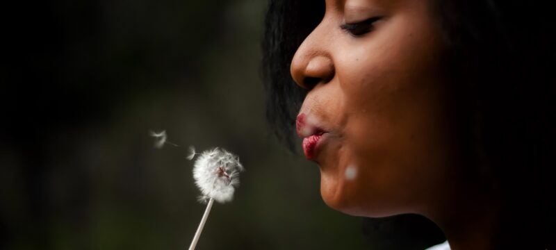 34968774-3A70-4922-836C-78DF523BE040