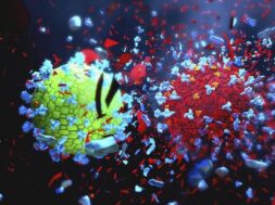 4A73BE57-58A4-4CD3-A0D6-2C9DC4D96712