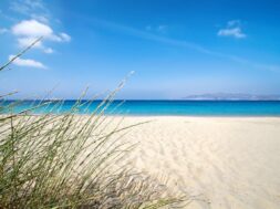 86B8FE3C-6084-4A83-8474-3765724D2B9E