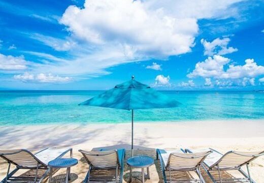 9941A206-671E-4326-94FE-E8FC8A660772