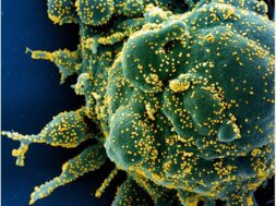 C0B40A01-4278-4A20-85AC-C56E55FE3624