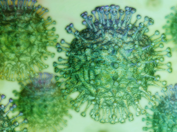 F3B7CAD3-3639-4C74-A47C-92A195BA11C9