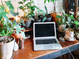 0956C4D3-878E-4BFB-B7D1-7241B34EC737