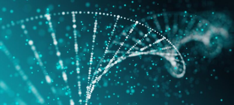 3D953B57-FA67-49FD-ABB6-90D116D6B9A1