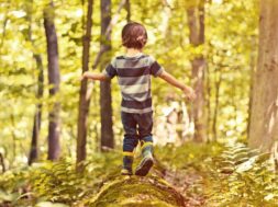 501EF551-43AA-4443-A40B-225BC715C538