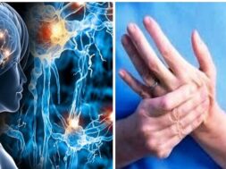 5511E7AD-34FD-4235-B2D0-75C8A124576F