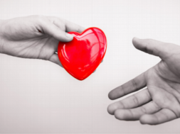 85B45BCC-70BA-4B57-807D-734F34CB9B91