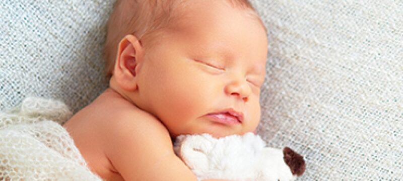 A15D313A-C16B-4EEF-ABD7-9B7B978B8F89