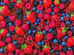 Forest fruit berries overhead assorted mix in studio
