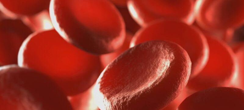 red_blood_cells_1_0