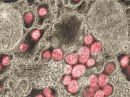 21E5FB1E-C0C1-445D-AE72-1138EC5AC58D