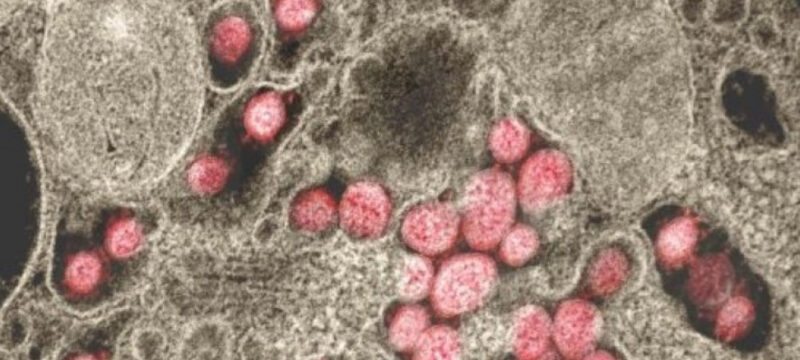 21E5FB1E-C0C1-445D-AE72-1138EC5AC58D