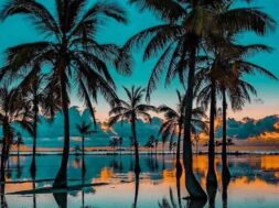 25918DF0-35D3-4351-A0BD-4311F6441065