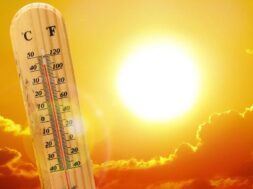 4EFA5959-C923-453C-838F-E1FDED5541AE