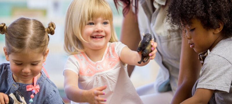 525C28F8-A8FA-4CF3-B9B1-137968774B16