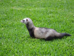 642B09D0-9D6F-44A8-BE09-2767E4345BE8