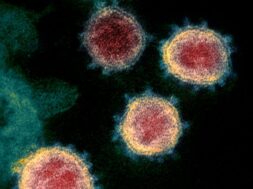 80266CE6-58B0-49B0-9B3C-BA87209C8FBB