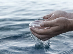 8486E947-0ED8-4ED3-A8A4-AD2424FCBB85