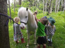 8692E594-31A9-4B86-A446-7A3C10528EC5