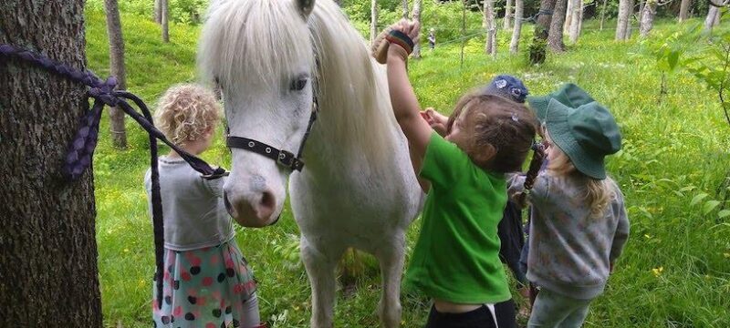 8692E594-31A9-4B86-A446-7A3C10528EC5