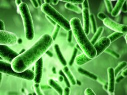 B33AB8D7-3C92-4496-8099-FBA25862386E