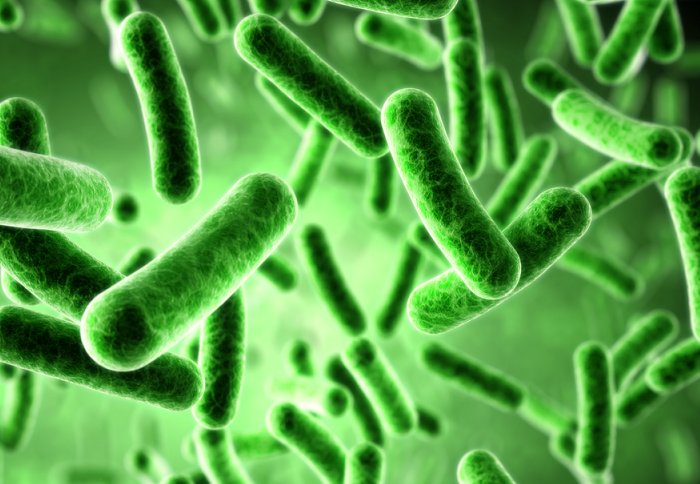 Νέα τεχνική βρίσκει άμεσα ποια βακτήρια αντιδρούν στα αντιβιοτικά