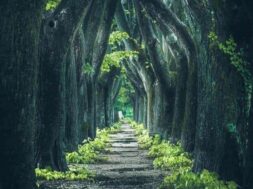 DA0732D9-5399-440D-BF27-15AFE0EFF6D9