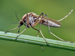 E691E935-2EF9-49CE-BD7F-27938A0EFE87