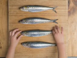 006065C5-9140-40DD-9CFB-A0F10F3133CE