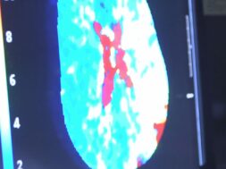 2EAE351F-4B39-4DF7-8376-19E355C1F859