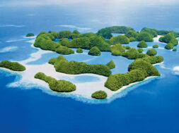 6185F840-9E2D-453F-8C51-B0C833928750