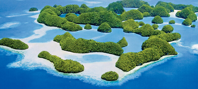 6185F840-9E2D-453F-8C51-B0C833928750