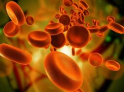 726A957A-78A6-4BF6-98AA-5BF7B7A3565F