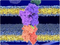 DFBEEC35-9C8F-49E1-B49D-6AD315255E41