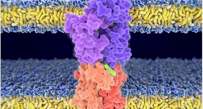 DFBEEC35-9C8F-49E1-B49D-6AD315255E41