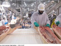 0D5358F5-815F-4899-BF62-2D9D1720FB8A