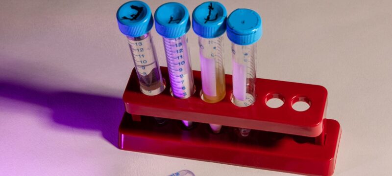 DEDF5E40-E9B9-4DCE-8B27-C2D2CF5D0132