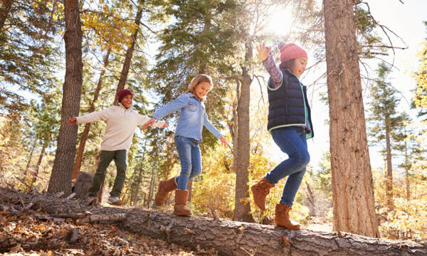 Children Having Fun And Balancing On Tree In Fall Woodland