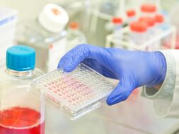 221DB3E3-58A6-4020-84FB-74E146DC6CA1