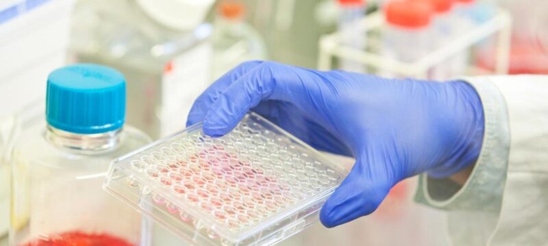 221DB3E3-58A6-4020-84FB-74E146DC6CA1