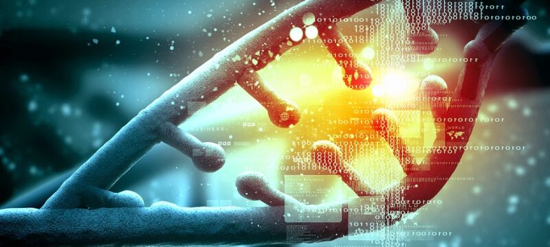 3D83EE7D-520C-4B95-B69F-FB519AB3A48C