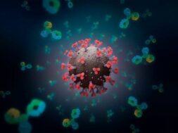 685D7177-065E-4744-9236-BF7F465B342D