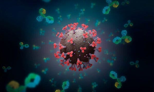 685D7177-065E-4744-9236-BF7F465B342D