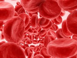 9BD50DC3-D745-4E2C-B892-2629C545EA17