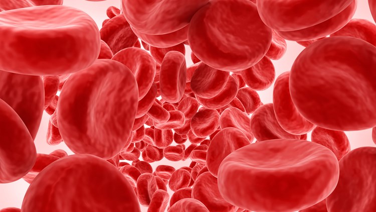 Αισιοδοξία έναντι της Θαλασσαιμίας και της Δρεπανοκυτταρικής νόσου