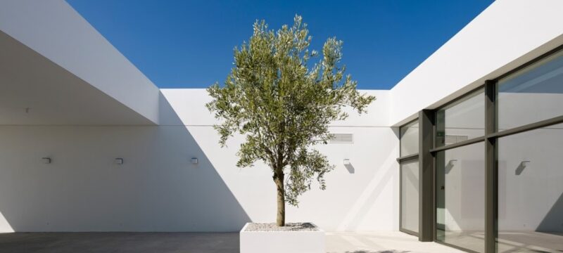 B0E8077B-C7F4-4F82-8956-21E01AB0CCB5