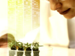 CBA6D707-DC49-40B8-A09D-3FBBD264BD09