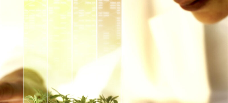 CBA6D707-DC49-40B8-A09D-3FBBD264BD09